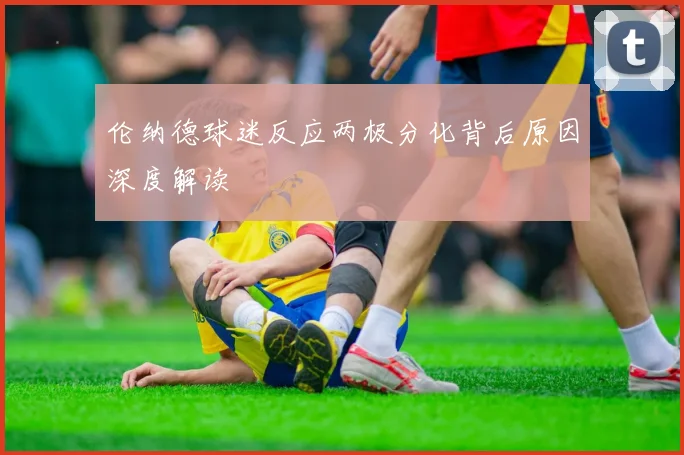 伦纳德球迷反应两极分化背后原因深度解读