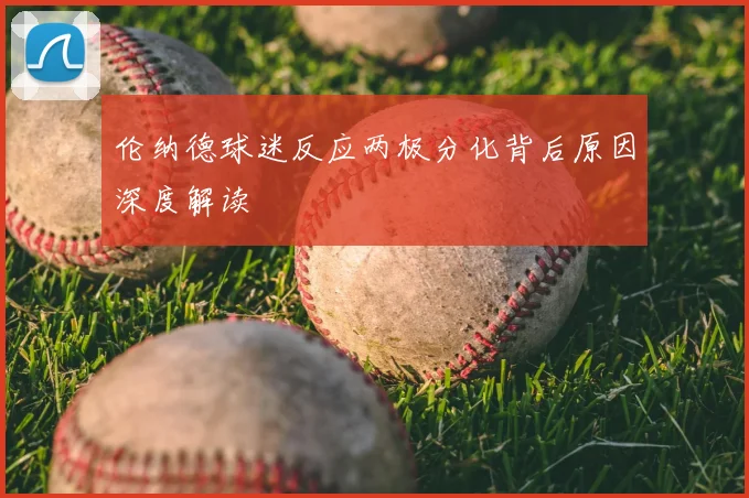 伦纳德球迷反应两极分化背后原因深度解读