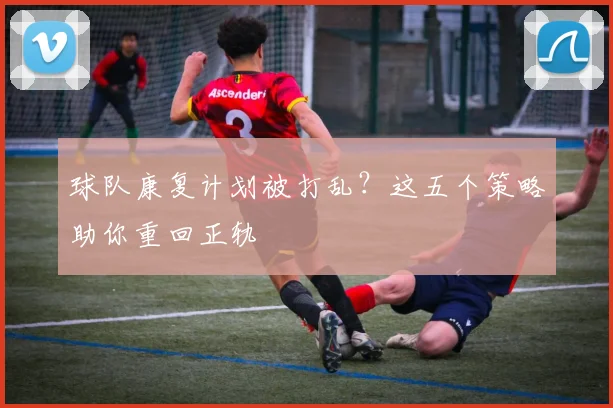 球队康复计划被打乱?这五个策略助你重回正轨
